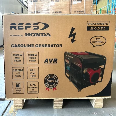 موتور برق رپس مدل RG14000ETS